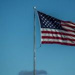 Contempt for Democracy