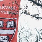 I'm a Harvard Reject