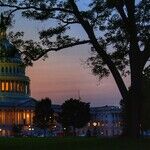 What Durbin Said About an Unaccompanied Alien Minor's Abortion