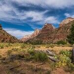 The Government Controls Too Much Land in the West