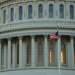 Madison Understood the War Power