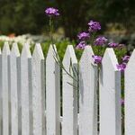 It's Time to Restore Fading Families