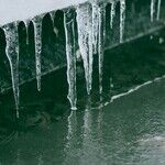 Pro-Transgenderism, Pro-Abortion Governors Speak Out About Climate Change