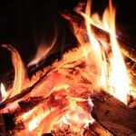 Don't Burn the Zoo Mom at the Stake