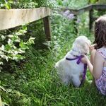 Investigated for Letting Her Kid Walk the Dog