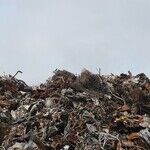 Girl Killed by Garbage Truck, Coroner Blames Parents