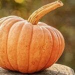 A Halloween Spooked by a Virus