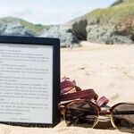 Beach Blanket Book Suggestions