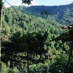 Why Our Kids Would've Died in the Jungle