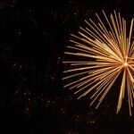 Set 'Em and Forget 'Em: Resolutions for 2024