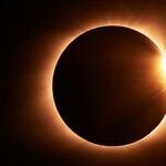 Safetyism Eclipses Common Sense