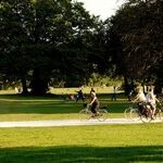 Not All Adults at the Park Are Predators