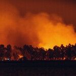 California's Inferno of Regulations