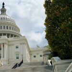 Little Kids, Big Government