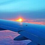 Fly Better