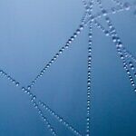 Silk Road