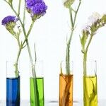 War on Science