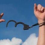 The Innocence Project