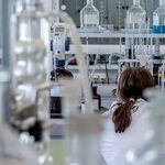 The Red Tape Pandemic