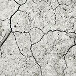 The Climate Hustle