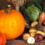 Private Property's Harvest