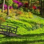 A Different Park