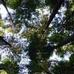 Socialism Versus Nature