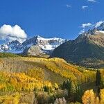 Freedom in Colorado