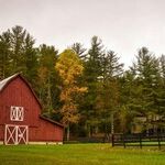 Thank You, Property Rights!