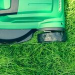 Lawn Gone Liberty: The Update