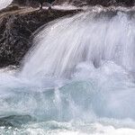 Former Whitewater Counsel Faces the Truth