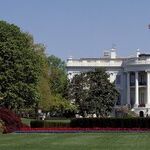 Ill-informed, Impetuous, Reckless: The Trump Years