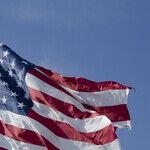 All Rise, or Not, for the United States of Football
