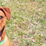 A Timely Rescue