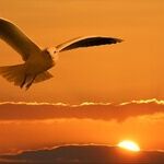 Grief, Revisited and Revised