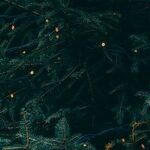 A Christmas Like No Other