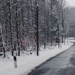 A Mind of Winter