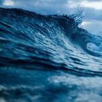 How to Defeat the Blue Wave