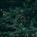 A Christmas Message: There's No Jesus in 'Christian Nationalism'