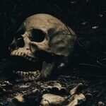 Oh, the Horror! Billionaires Threatened with Taxation