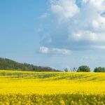 My Message to Billionaires: Money is Like Manure