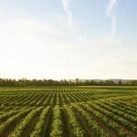 43-34A Buying Farm Votes with Your Tax Dollars