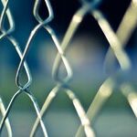 Getting Trapped in The Donald's Cuckoo Nest