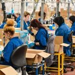 Trump's Anti-Labor Department