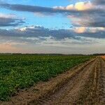 Who Cares Who the Secretary of Agriculture Is?