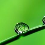 Give Nature a Right to Self-Defense