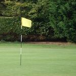 Pro-Golfers Dirty Themselves By 