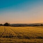 Rebranding CAFOs as PFOs Is Corporate BS