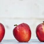The Right Wing's Program to Solve Childhood Obesity