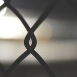 Only Gridlock Can Save America Now